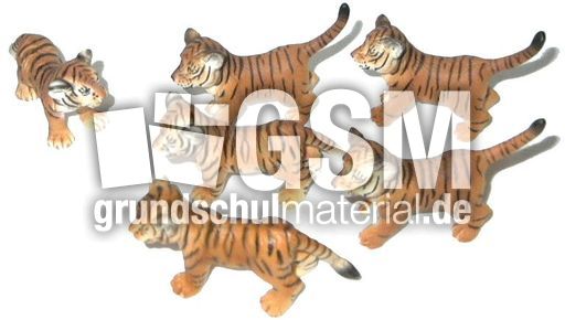 Tiger-1+5.jpg